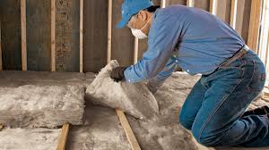 Best Insulation for New Construction  in Kohler, WI