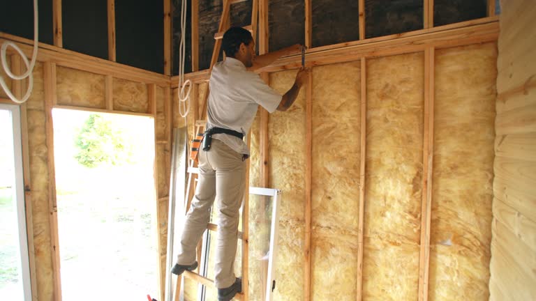 Best Blown-In Insulation  in Kohler, WI