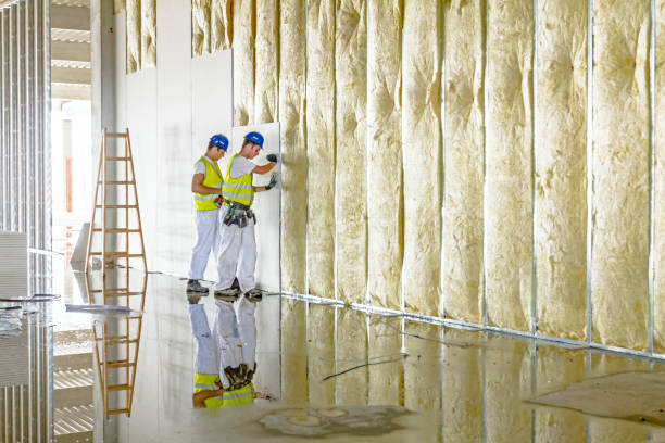 Best Attic Insulation Installation  in Kohler, WI